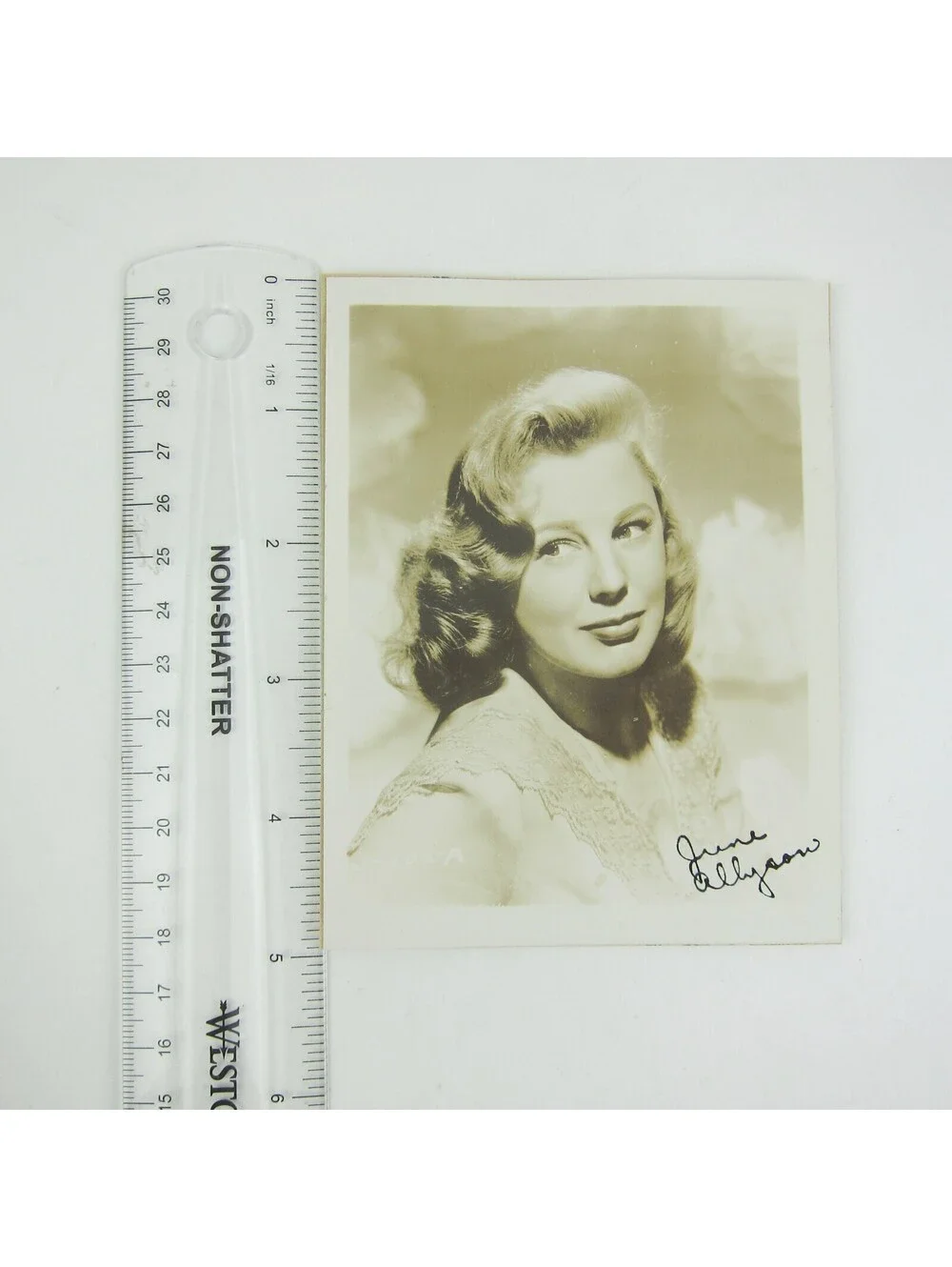June Allyson Photograph 5x4 Hollywood Actress Portrait Vintage 1940s